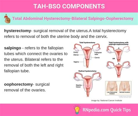 (TAHBSO) Nursing Care Plan & Management .